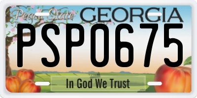 GA license plate PSP0675
