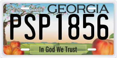 GA license plate PSP1856