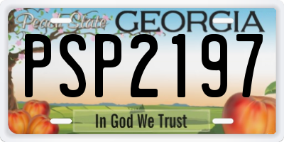GA license plate PSP2197
