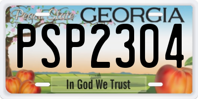 GA license plate PSP2304