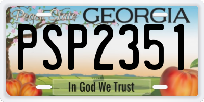 GA license plate PSP2351