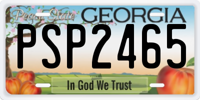 GA license plate PSP2465