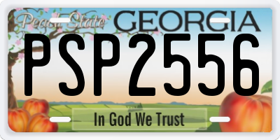 GA license plate PSP2556