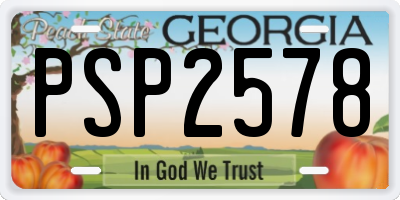 GA license plate PSP2578