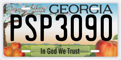 GA license plate PSP3090