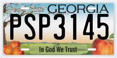 GA license plate PSP3145