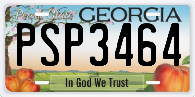 GA license plate PSP3464