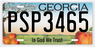 GA license plate PSP3465