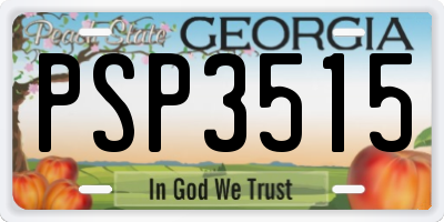 GA license plate PSP3515