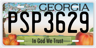 GA license plate PSP3629