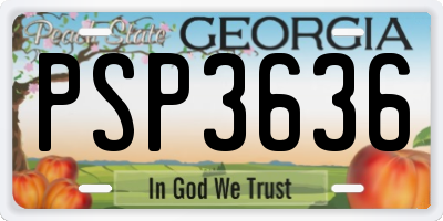GA license plate PSP3636