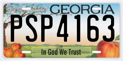 GA license plate PSP4163