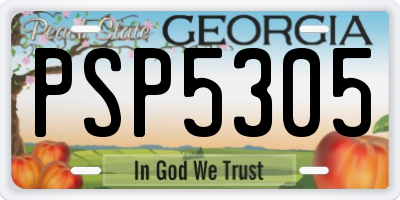 GA license plate PSP5305