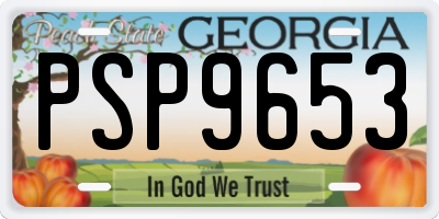 GA license plate PSP9653