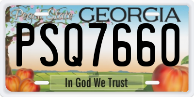 GA license plate PSQ7660