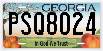 GA license plate PSQ8024
