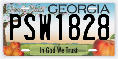 GA license plate PSW1828