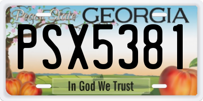GA license plate PSX5381