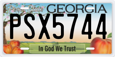 GA license plate PSX5744