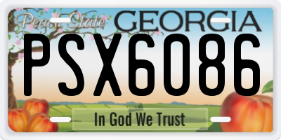 GA license plate PSX6086