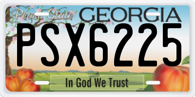 GA license plate PSX6225