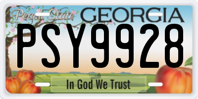 GA license plate PSY9928