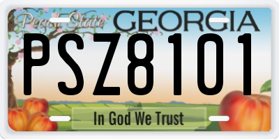 GA license plate PSZ8101