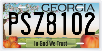 GA license plate PSZ8102