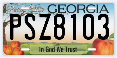 GA license plate PSZ8103