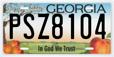 GA license plate PSZ8104