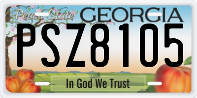 GA license plate PSZ8105