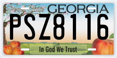 GA license plate PSZ8116