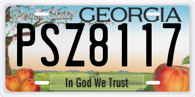 GA license plate PSZ8117