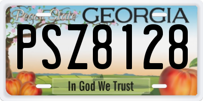 GA license plate PSZ8128