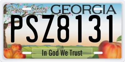 GA license plate PSZ8131
