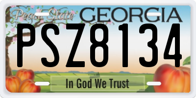 GA license plate PSZ8134