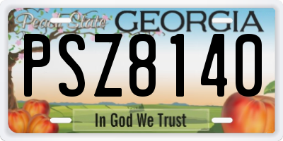 GA license plate PSZ8140