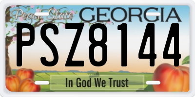 GA license plate PSZ8144