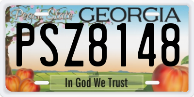 GA license plate PSZ8148