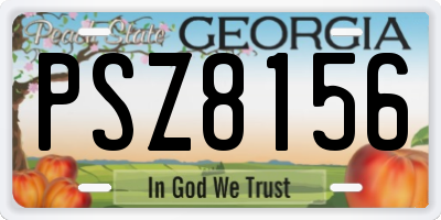 GA license plate PSZ8156