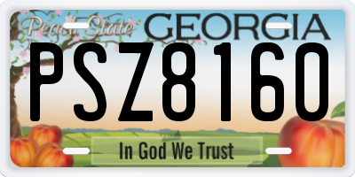 GA license plate PSZ8160