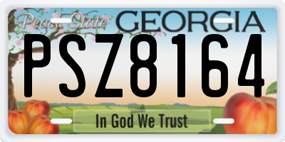 GA license plate PSZ8164