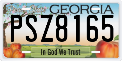 GA license plate PSZ8165