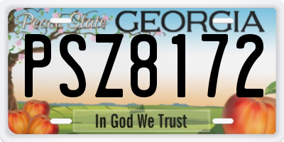 GA license plate PSZ8172