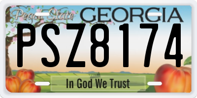 GA license plate PSZ8174