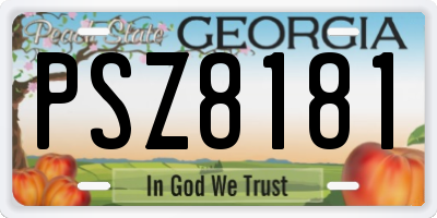 GA license plate PSZ8181
