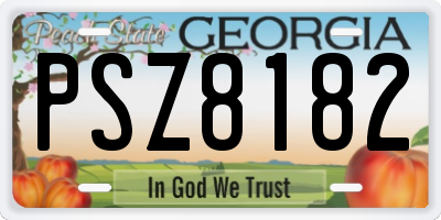 GA license plate PSZ8182