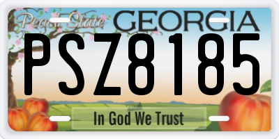 GA license plate PSZ8185