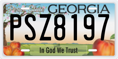 GA license plate PSZ8197