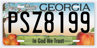 GA license plate PSZ8199